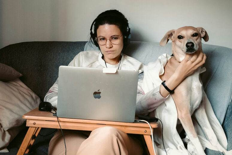 A patron studies on their couch with a laptop and headphones. They are petting their dog while they watch.