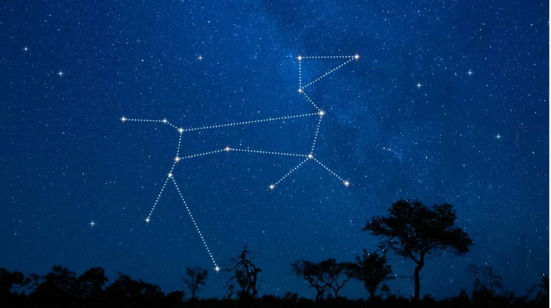 Canis Major – the Big Dog Constellation